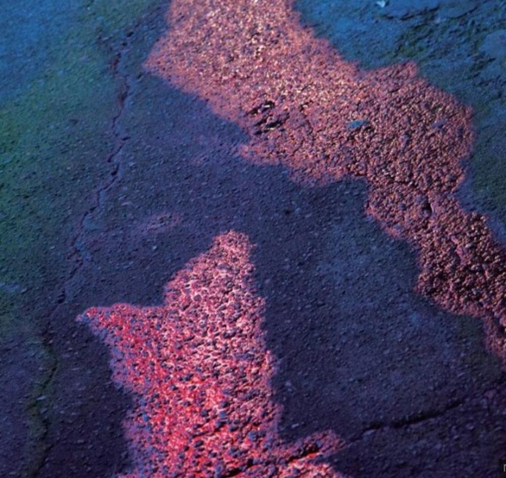 [미개봉LP/한정반] 신해경 - 나의 가역 반응