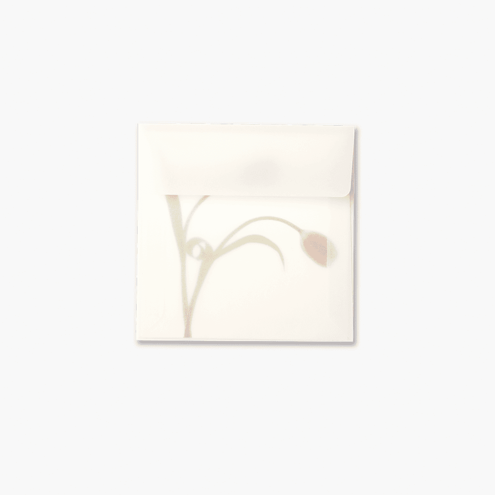 Flower Card l Pink Tulip 핑크 튤립