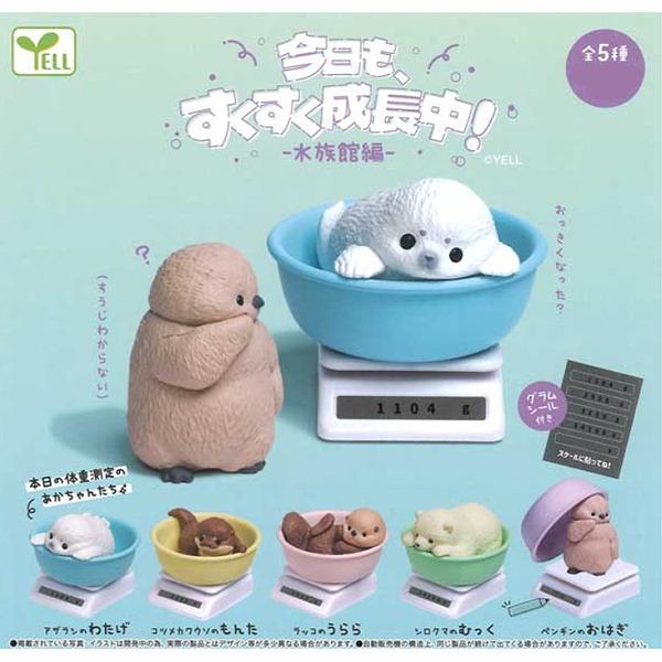 오늘도 무럭무럭 성장중 수족관편 캡슐토이 가챠