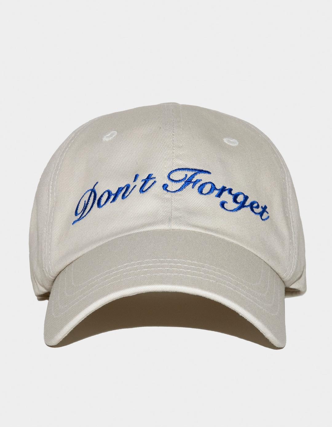 'Don\'t Forget\' LOGO BALL CAP (BEIGE)