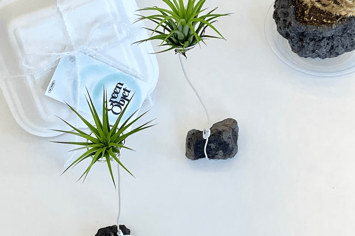 이오난사 식물오브제 (화산석+이오난사)