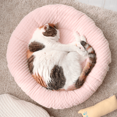 모모제리 고양이 마약 방석 빵떡 쿠션 침대 쇼파 누빔 인견