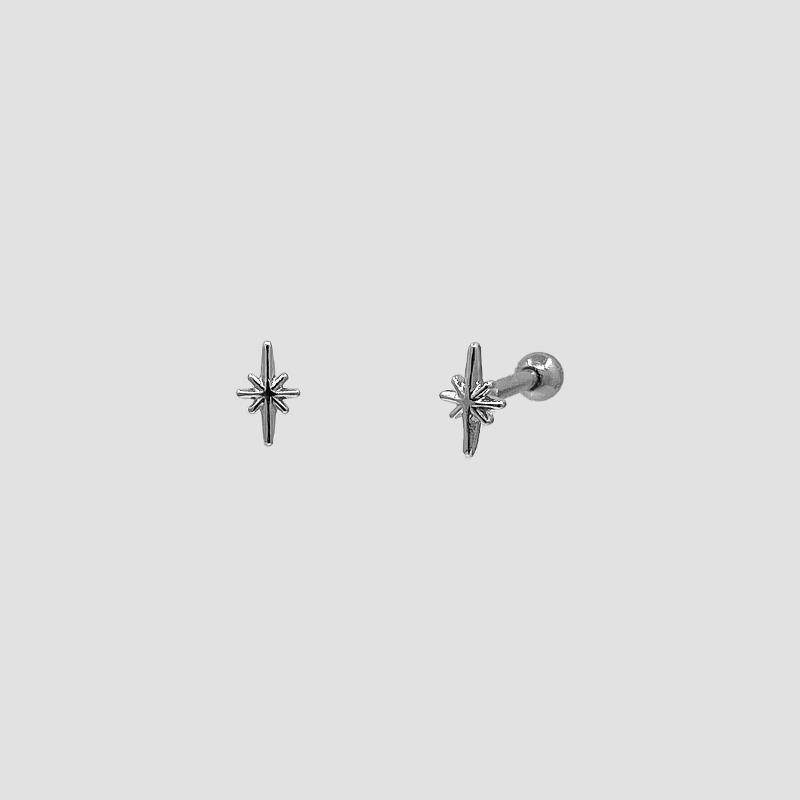 플래쉬 피어싱/귀걸이[27일입고]