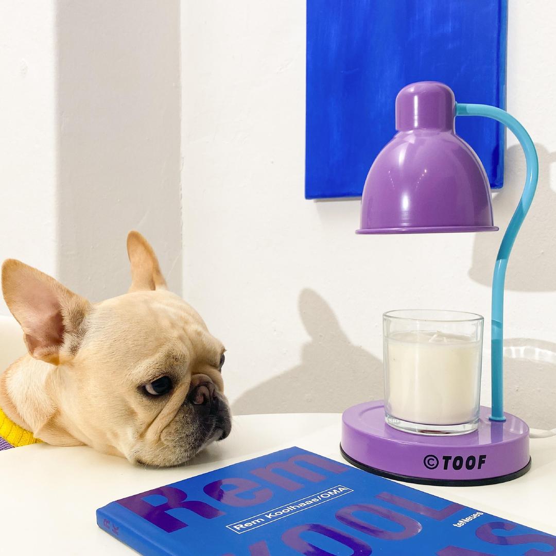 캔들워머 무드램프 (PURPLE / BLUE)