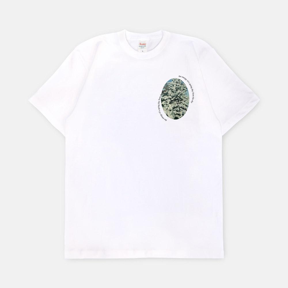 만화방창萬化方暢 반팔티셔츠