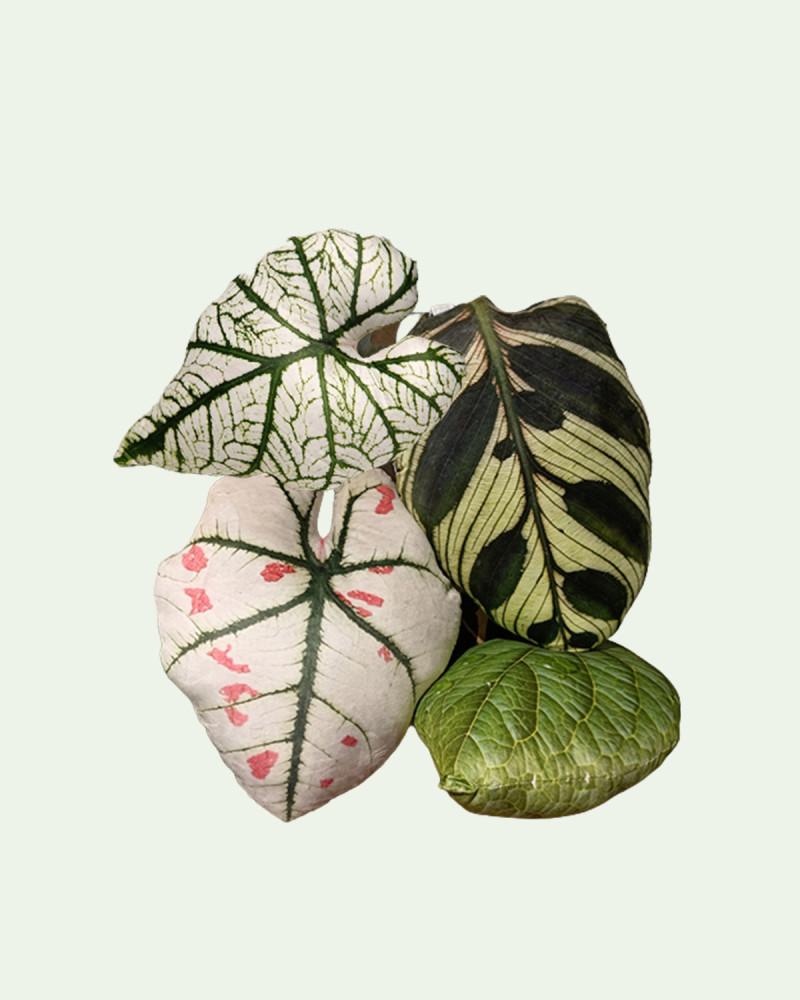 나뭇잎 모양 쿠션 거실 소파 모던 인테리어 렌탈 스튜디오 홈 카페 등받이 침실 쇼파