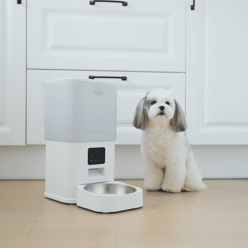 넬로 스마트 홈 카메라 자동급식기 NFD-B0610W