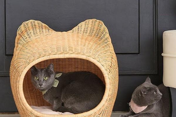 고양이 강아지 큐티 라탄 하우스