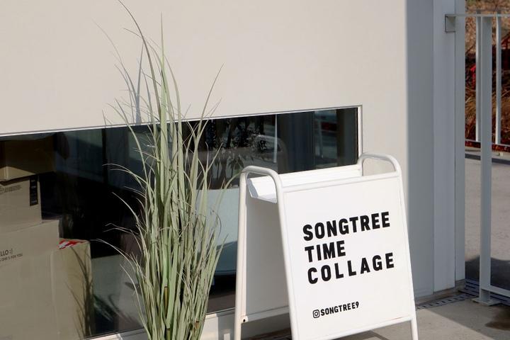 내추럴 그라스 팟 갈대조화