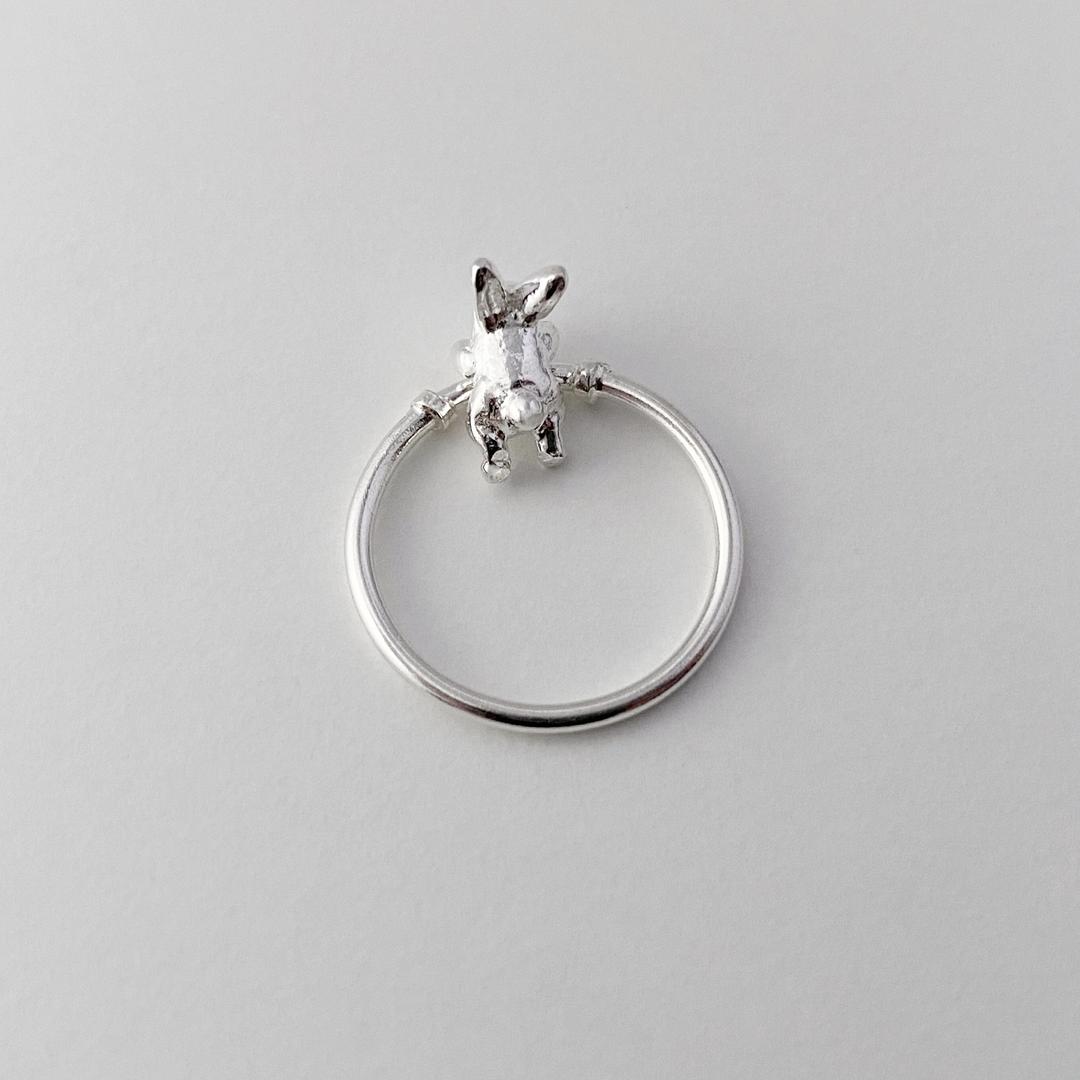 Jumping Rabbit