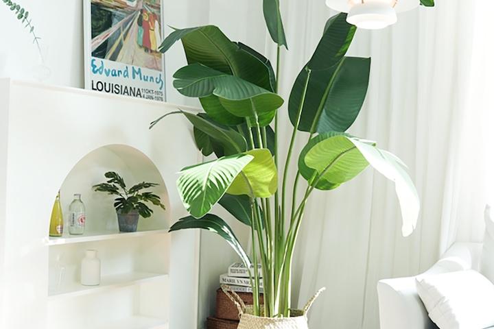 프리미엄 고급 조화 나무 극락조 4sizes