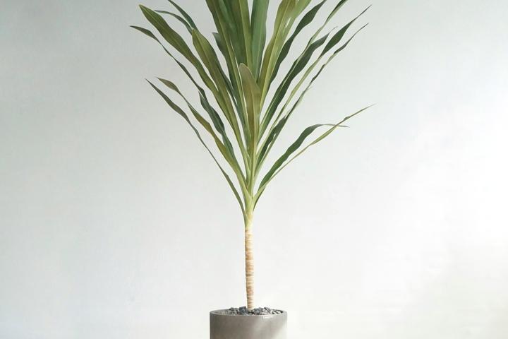 특대형 빅토리아 빈티지다크그레이화분 인테리어식