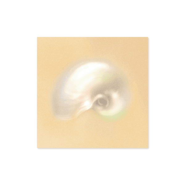 [기묘] Shell 엽서
