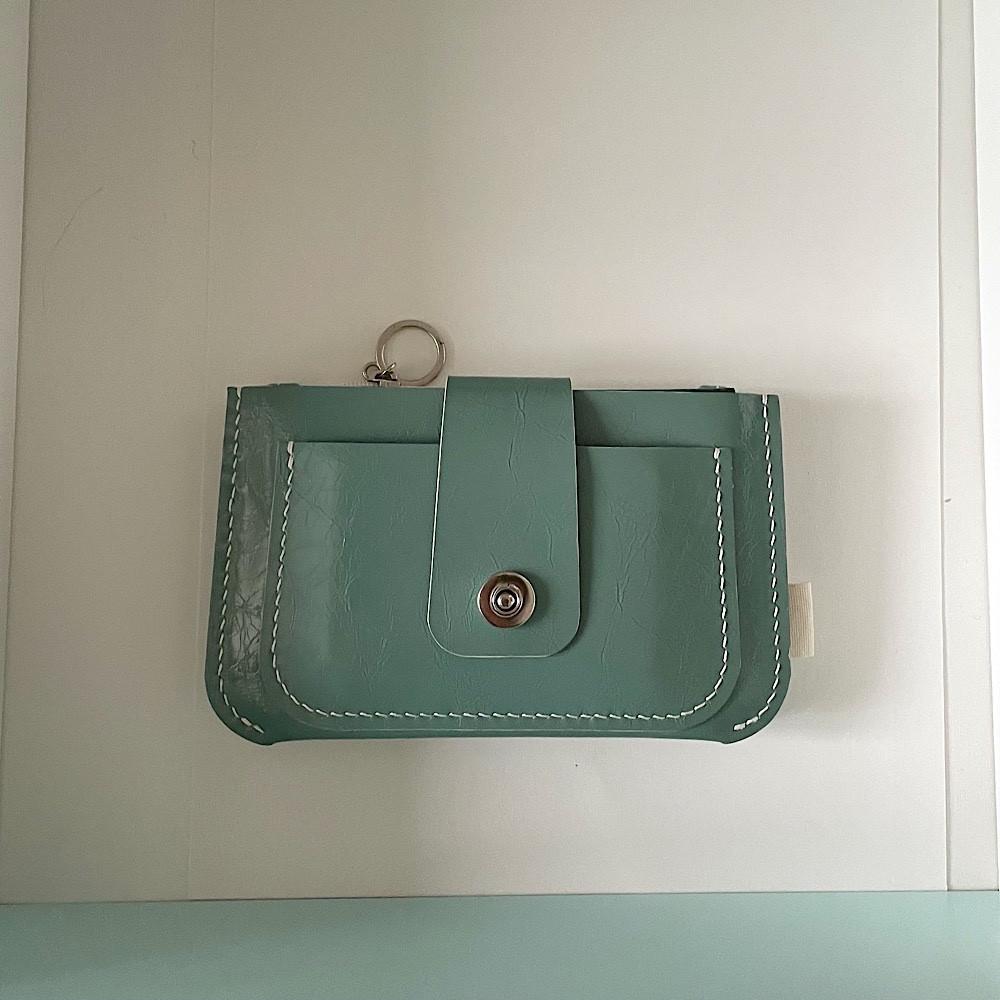 Lindo Passport Wallet (mint)