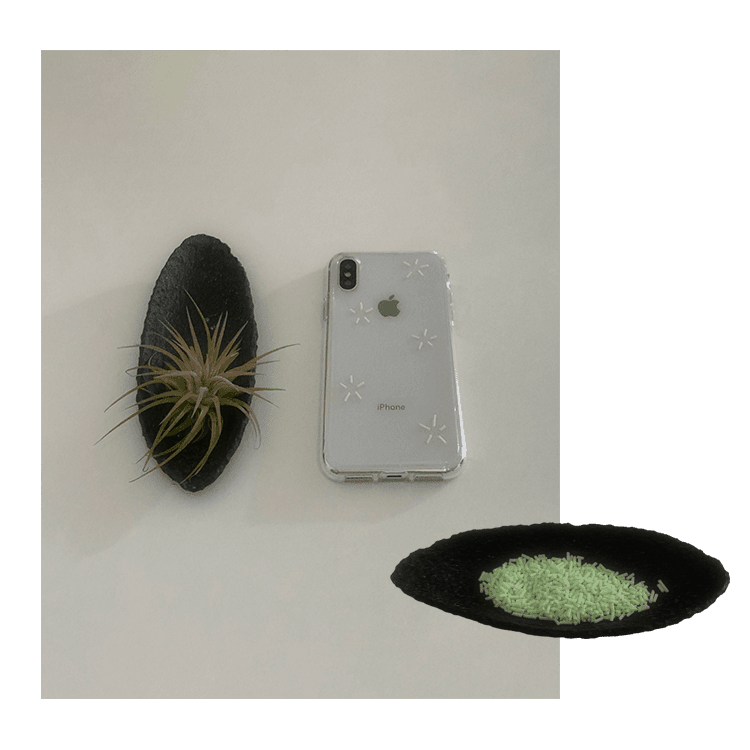 m e l o n * s p a r k *