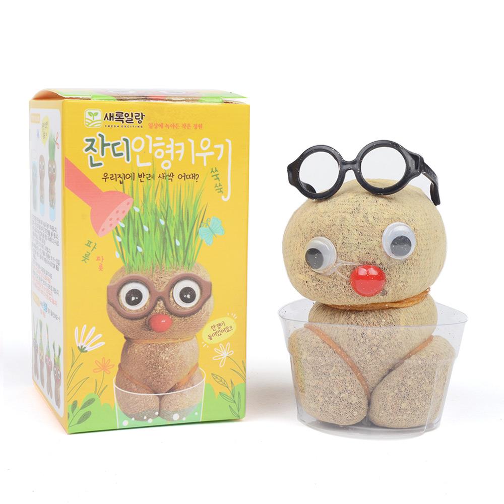 3000 잔디 인형 키우기(못나니) 잔디 키우기 식물 재배 키트