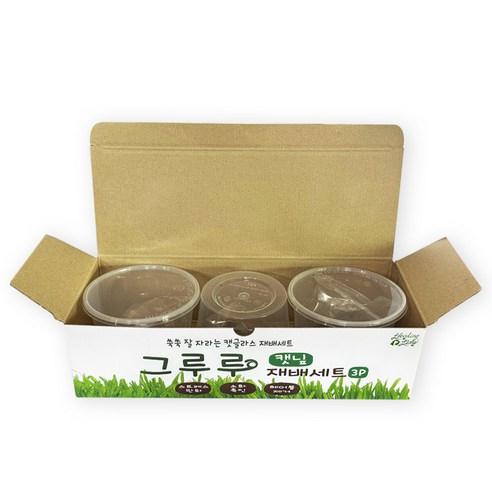 힐링타임 그루루 캣그라스 재배세트 3p, 캣닢, 1세트 - 캣닢/캣글라스 | 쿠팡