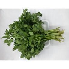 야채왕 이태리 파슬리 향나물300g 이탈리안 파세리