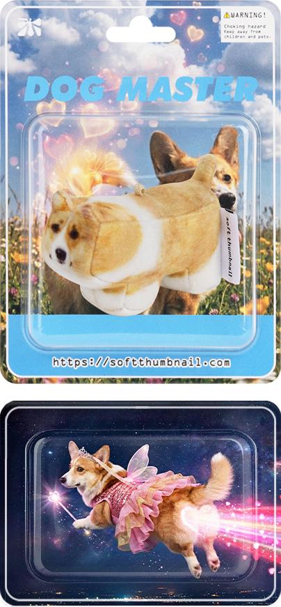 Moongchi, Welsh Corgi