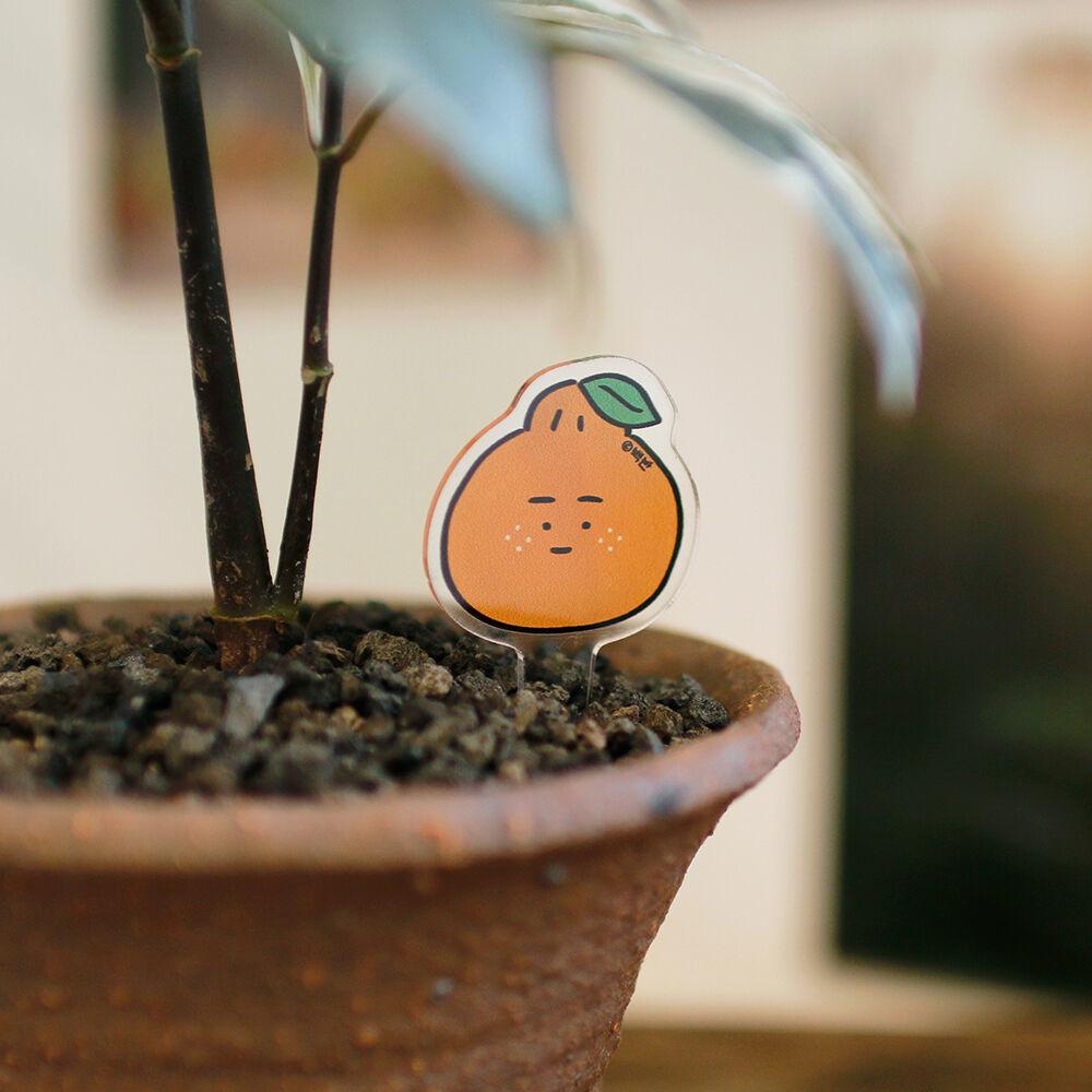 백반 화분 데코픽