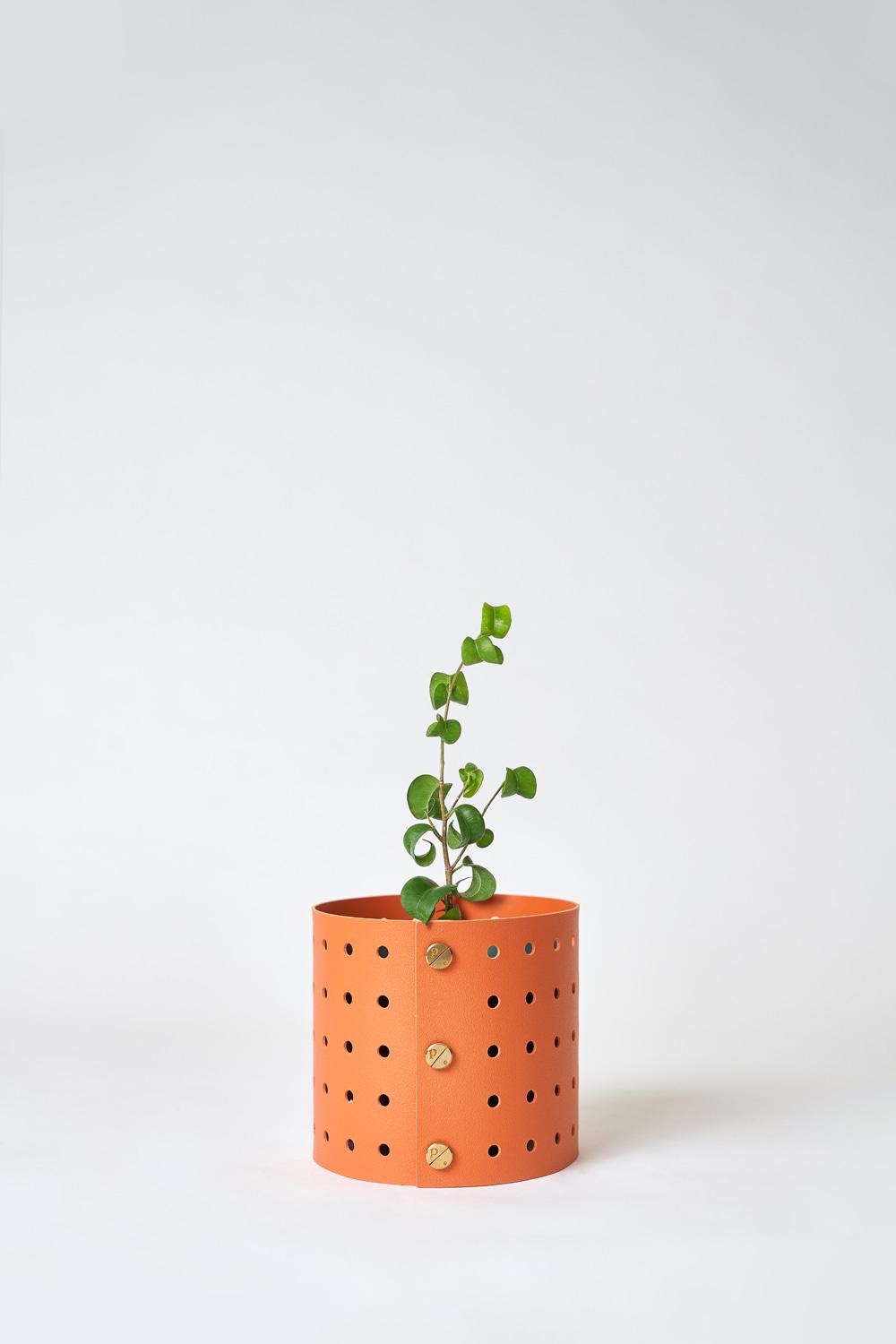 팟커버 XS  + 바로크 벤자민