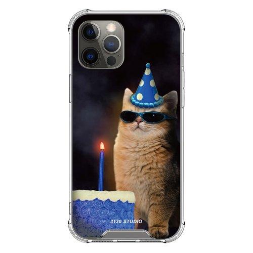 마이 벌스데이 캣 케이스