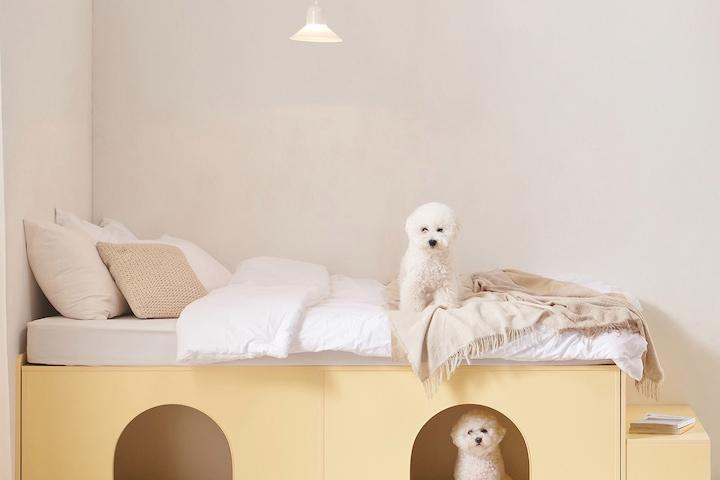 [5%쿠폰]입점기념 리뷰이벤트! E0 포포하이 무헤드 빅수납침대 (SS/Q) 2Colors