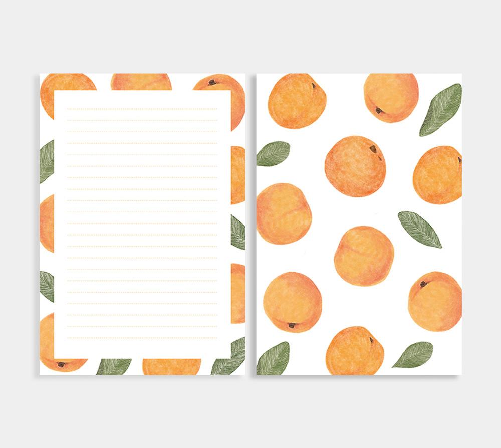 살구 편지지 set