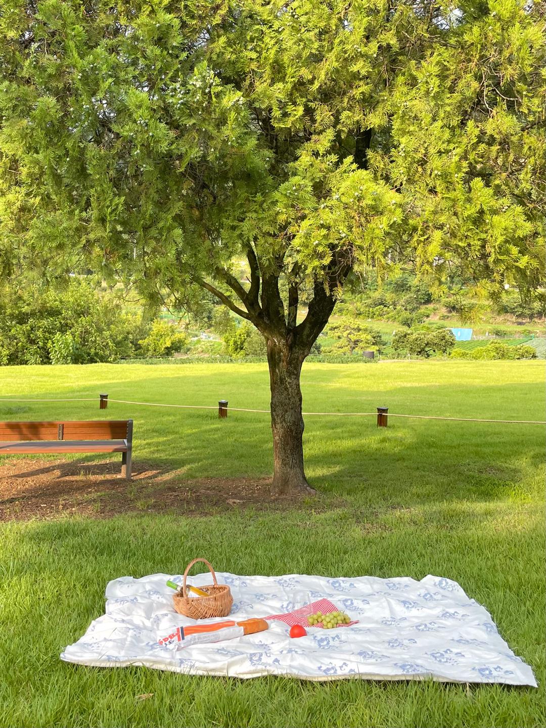 day london picnicmat