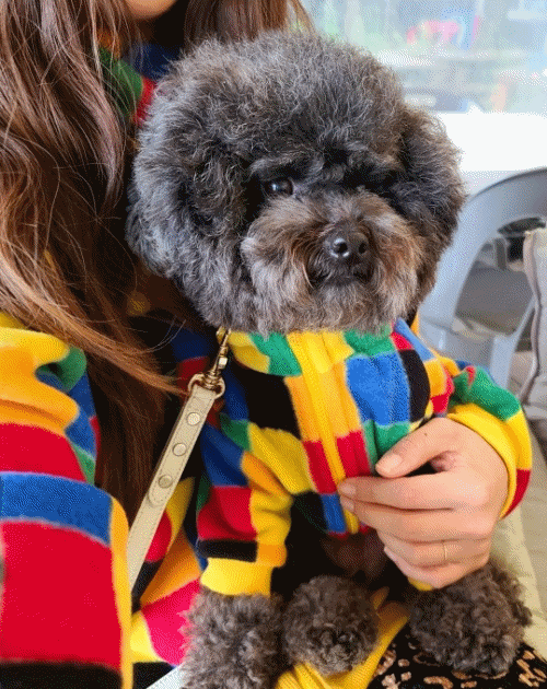 자메이카 집업 후리스 (옐로우)