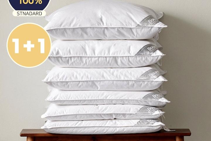 [단독] 1+1 호텔베개 순수구스 스탠다드 높이별 6종 900g-1400g 더스트백기획