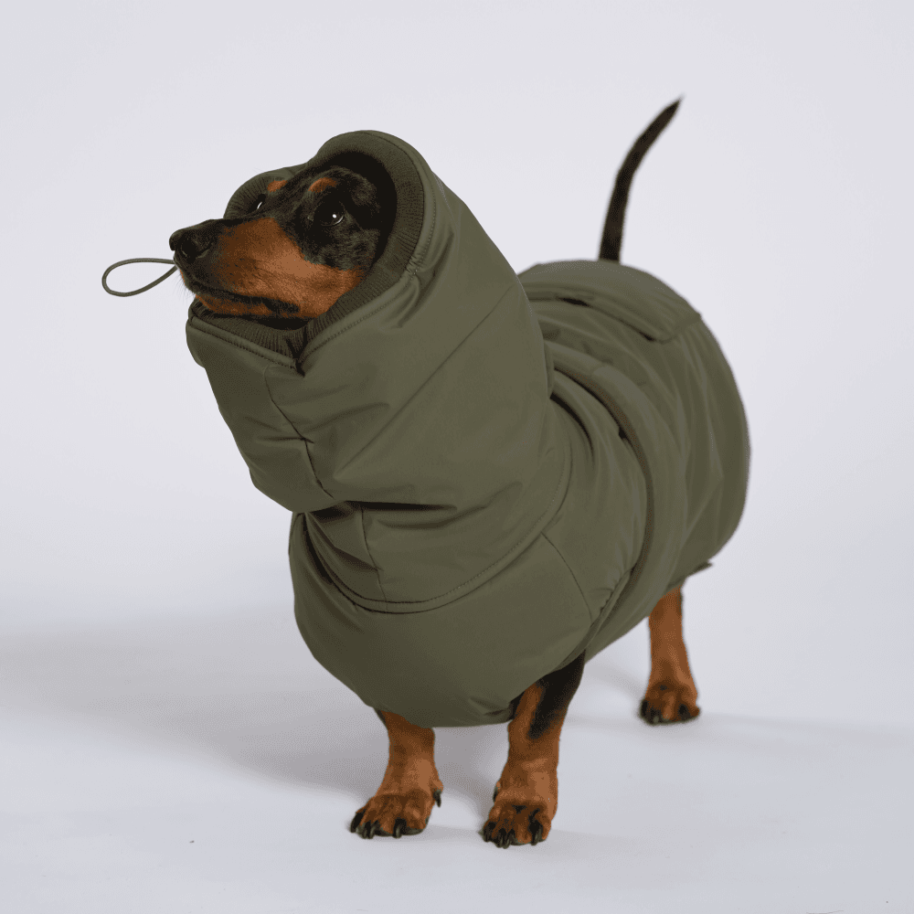 개따뜨텍 강아지 패딩 Khaki