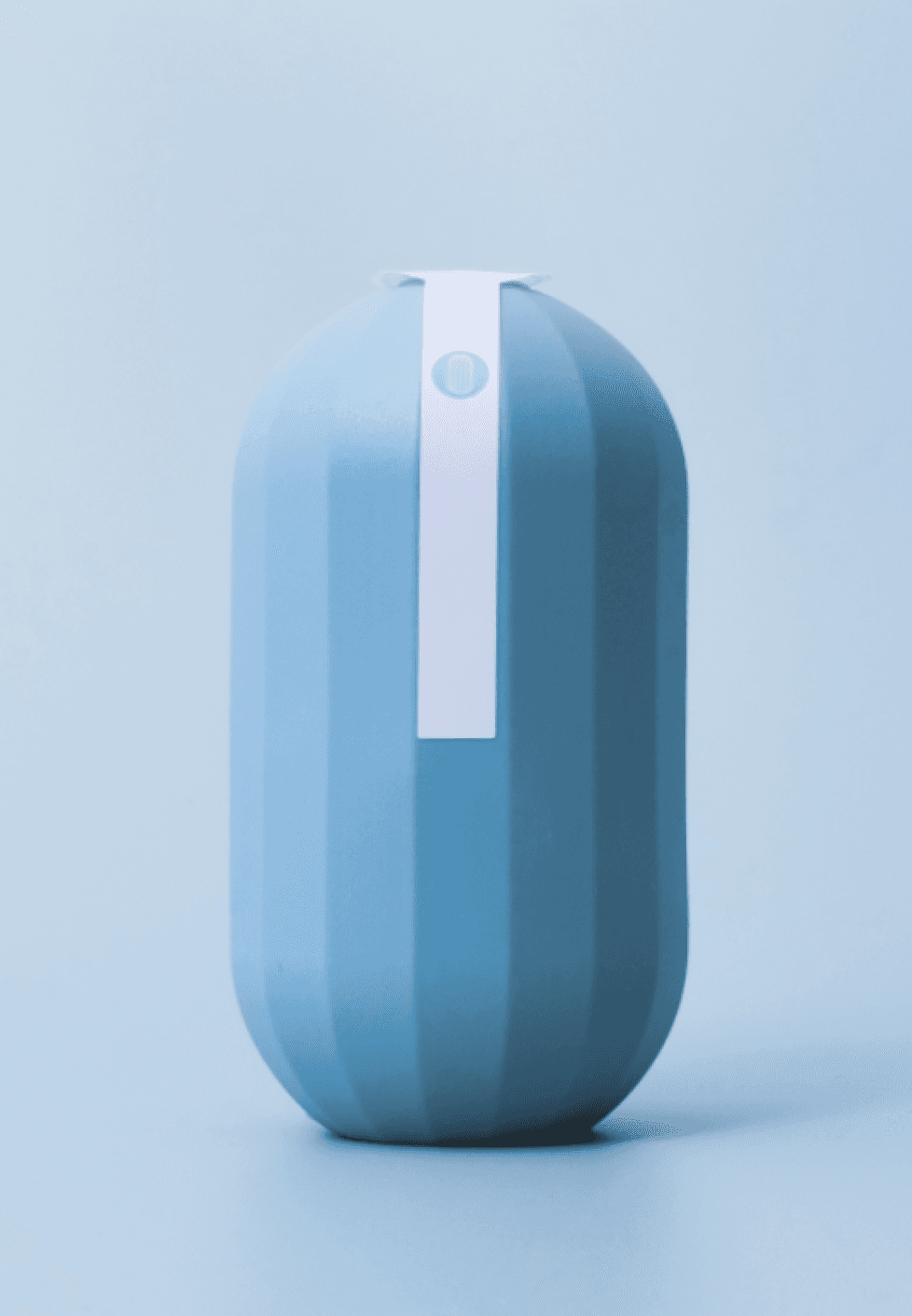 라이프스탠다드 퐁당 변기 세정제 (2)