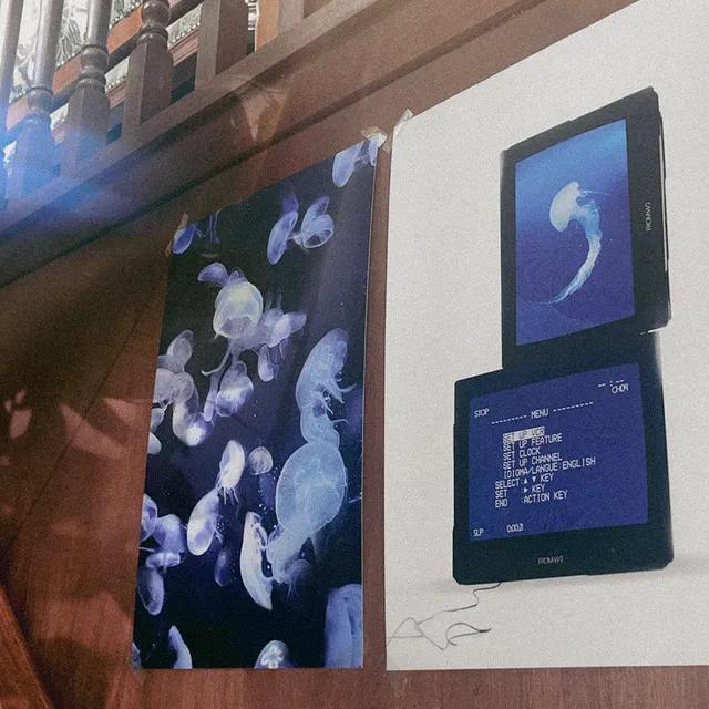 Jellyfish/ Blue TV A3 POSTER