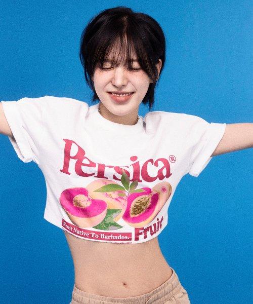 (W) PERSICA PEACHES T-SHIRTS (WHITE) [LRRMCTA339M]