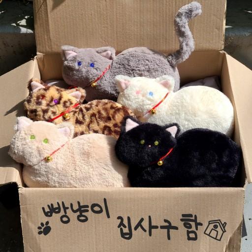 🍞사르르~ 걱정을 녹여주는 사랑스러운 빵냥이🐱🍞