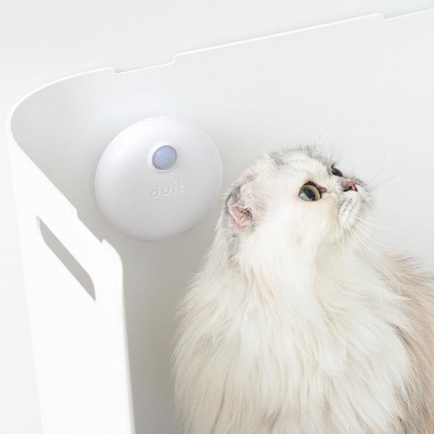 [런칭 특가] 두잇 퓨어다