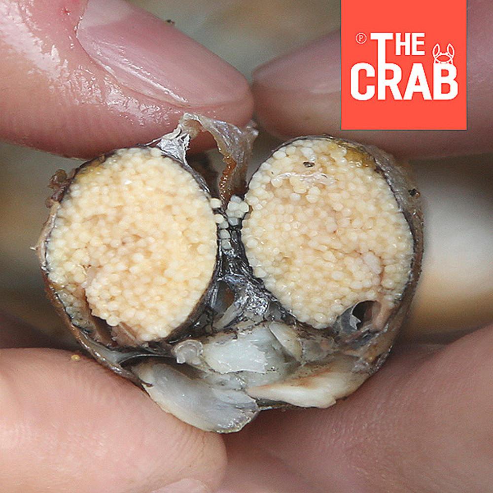 알배기 열빙어 특대 1kg 시사모 구이