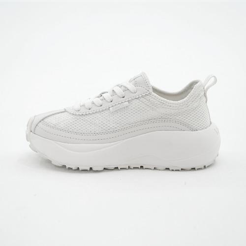 노아에볼루션 화이트