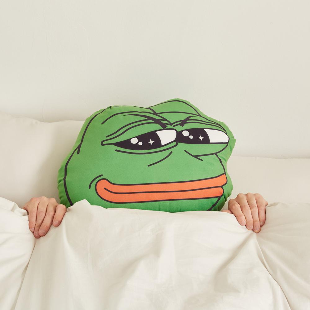 슬픈 개구리 쿠션 (45cm) 애착 캐릭터 페이스 인형 생일선물 쓸데없는 신박한 선물