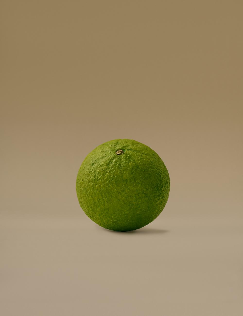 GREEN ORANGE | 그린 오렌지