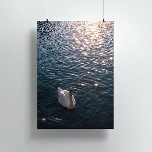 [POSTER] Thames River Swan ver.2