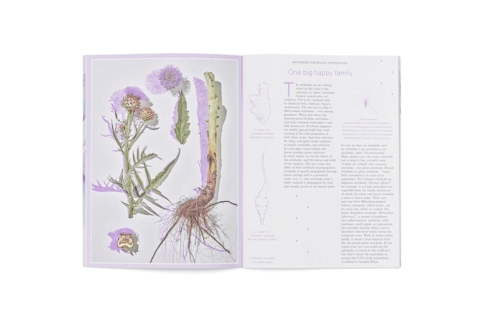 Pleasant Place 4: Artichoke