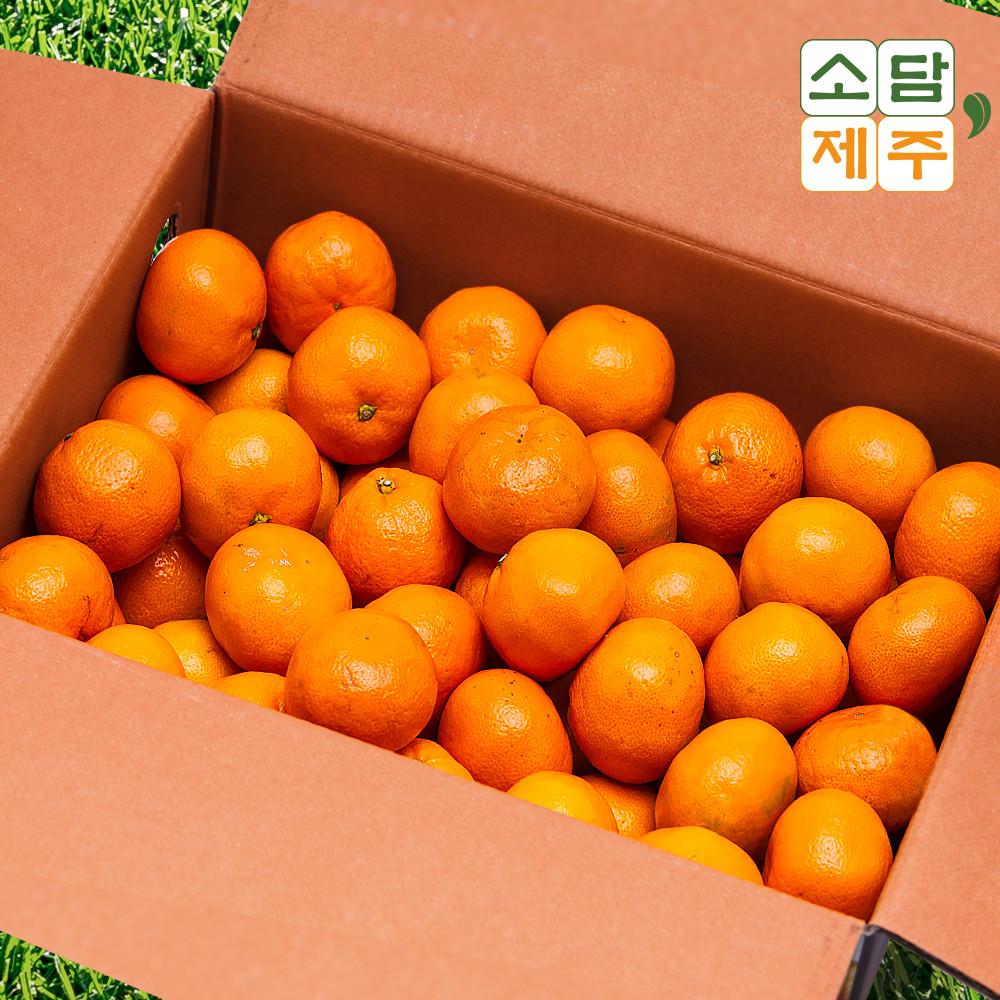 제주 감귤 서귀포 귤 2kg 3kg 5kg 10kg 밀감 황금향 타이백 타이벡 감귤 선물세트 [원산지:제주도 서귀포]