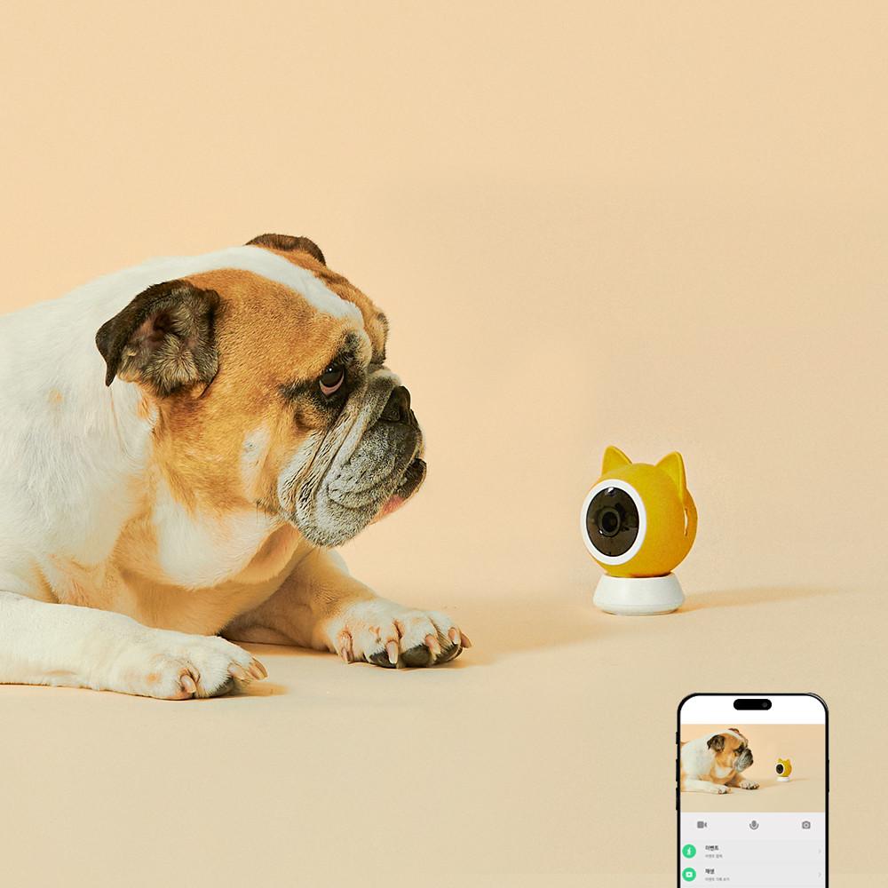 페페TV 스마트 펫카메라 펫CCTV