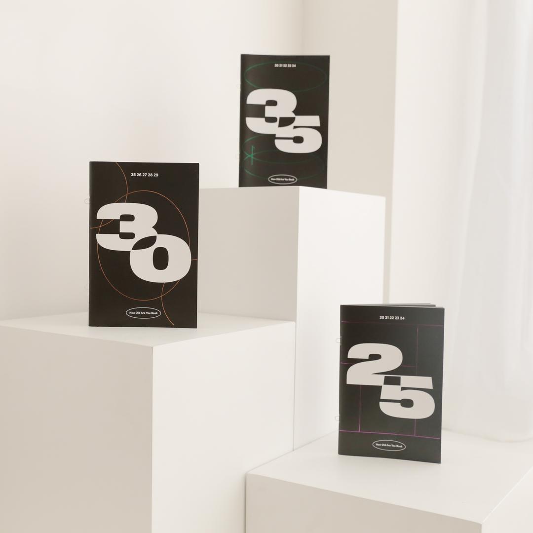 25살, 30살, 35살을 위한 5년 정산 플래너, 하우올드알유북
