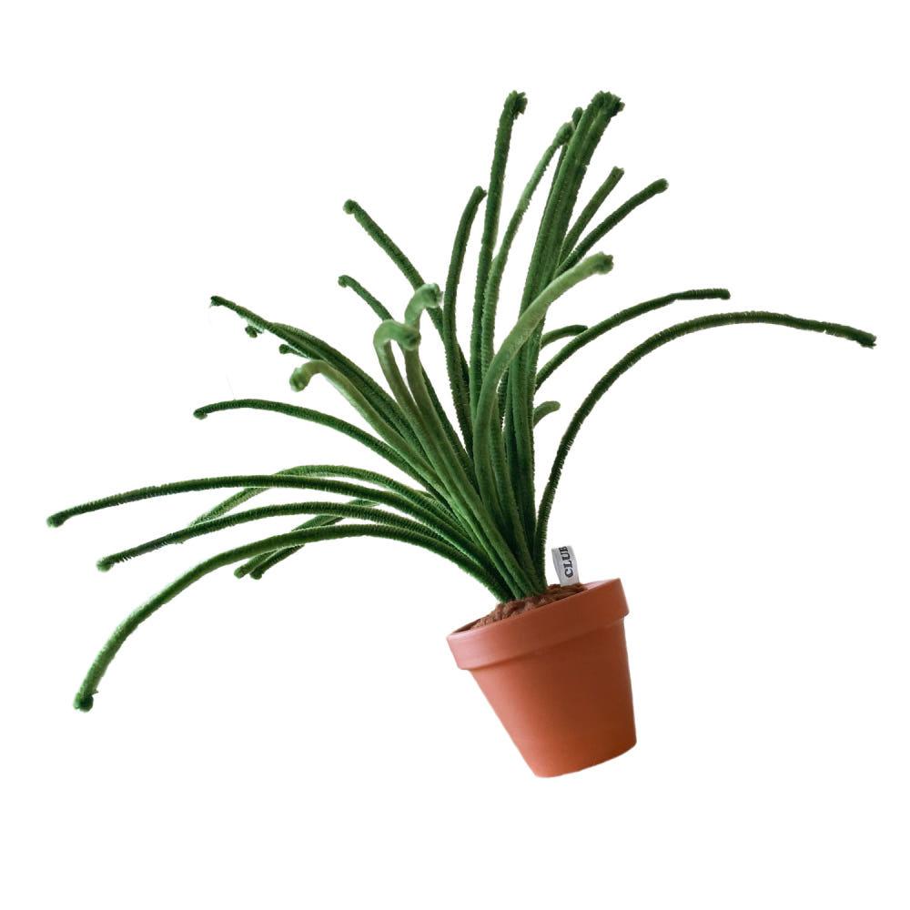 My way! + Pot ( S size )