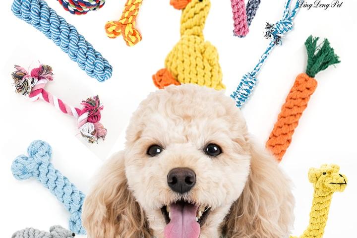 무독성 강아지 실타래장난감 모음전