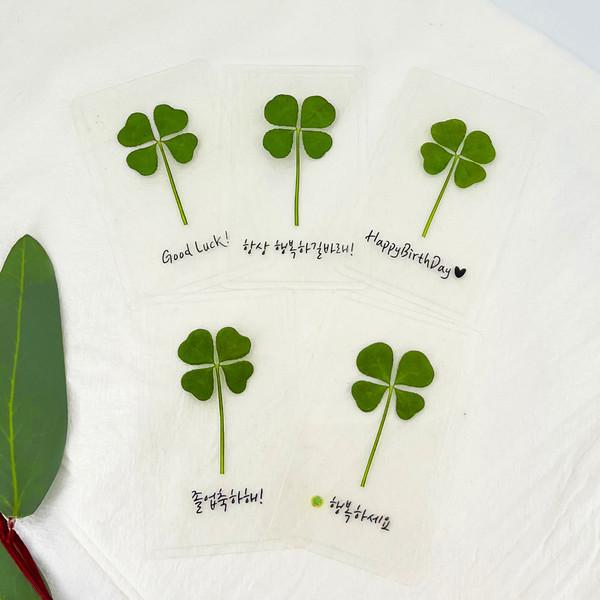 푸드클로버 네잎클로버 맞춤제작 코팅카드 투명카드