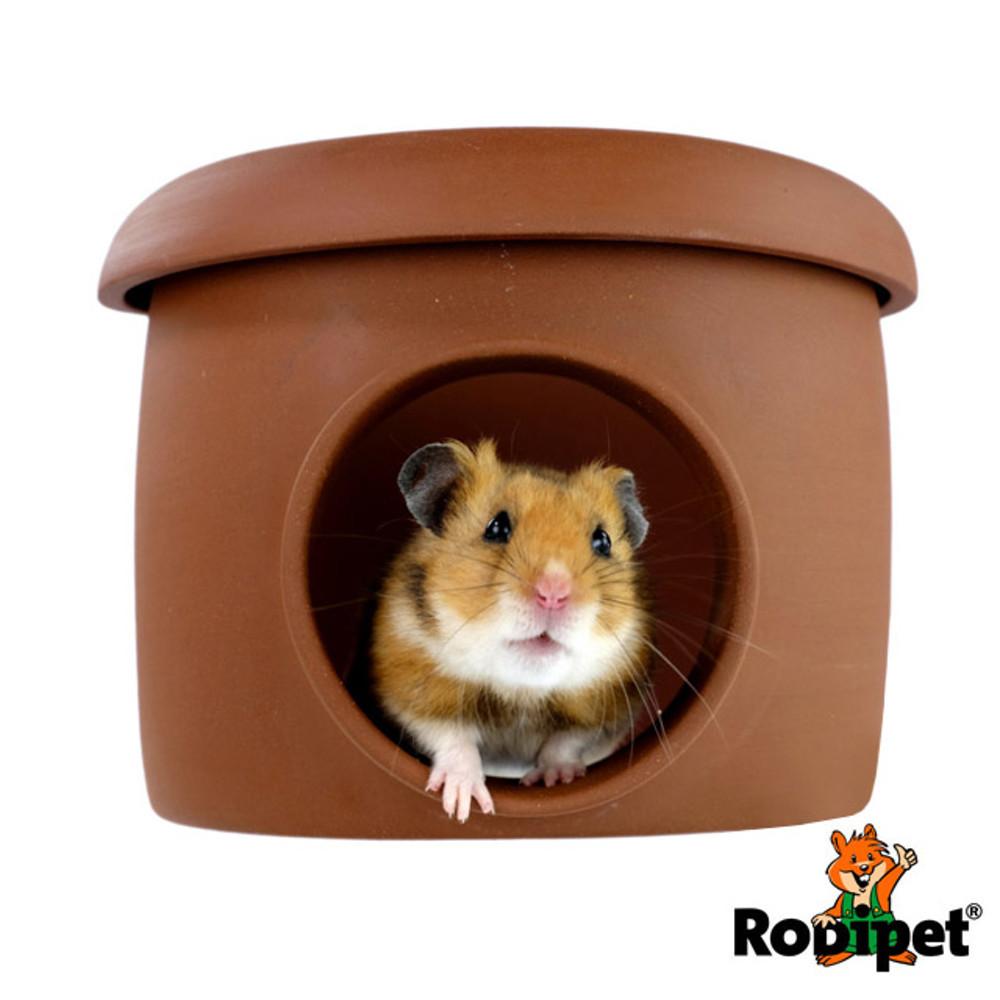 로디펫 이지클린 테라 세라믹 튜브 / 골든용 햄스터은신처